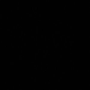 Meet your Posher, Lyra